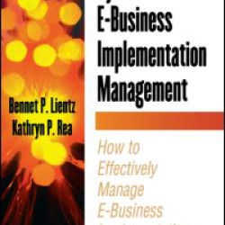 Dynamic E-Business Implementation Management Dynamic E-Business Implementation Management
