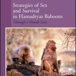 Strategies of Sex and Survival in Female Hamadryas Baboons