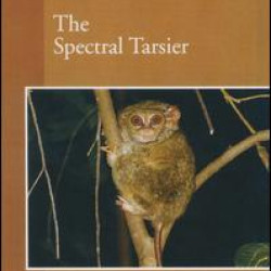 The Spectral Tarsier