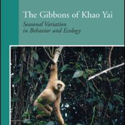 The Gibbons of Khao Yai