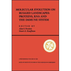 Molecular Evolution on Rugged Landscapes