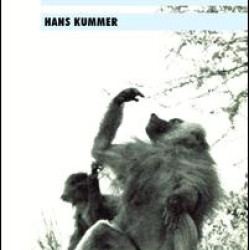 Primate Societies