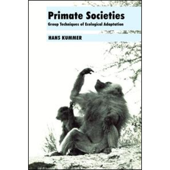 Primate Societies