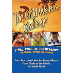 The Child Welfare Challenge The Child Welfare Challenge