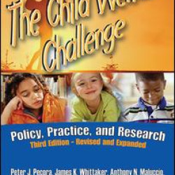 The Child Welfare Challenge The Child Welfare Challenge