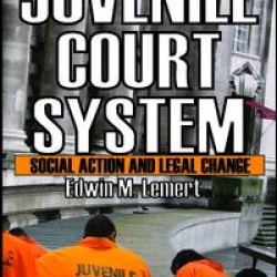 The Juvenile Court System The Juvenile Court System