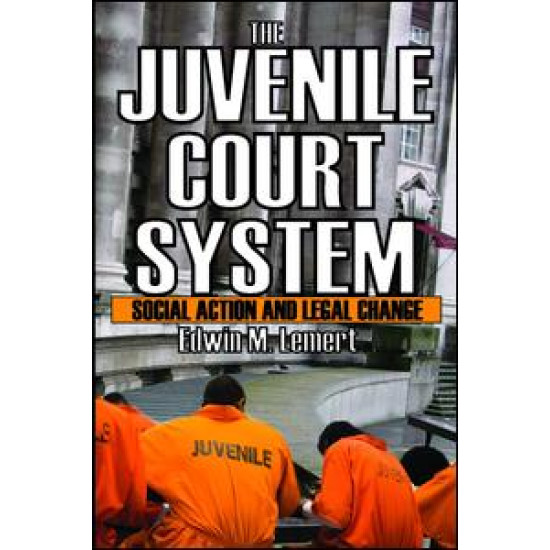 The Juvenile Court System