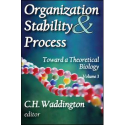 Organization Stability and Process Organization Stability and Process