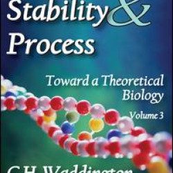 Organization Stability and Process Organization Stability and Process