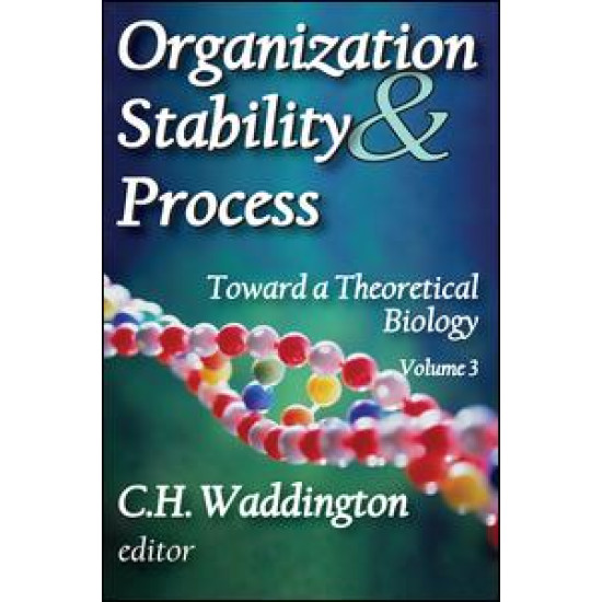 Organization Stability and Process