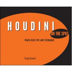 Houdini On the Spot
