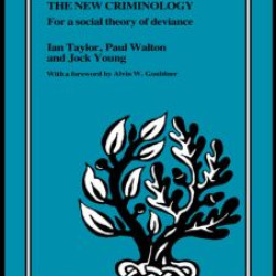 The New Criminology