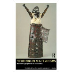 Theorizing Black Feminisms