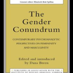 The Gender Conundrum The Gender Conundrum