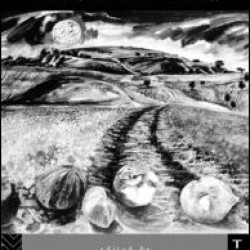 The Cultural Life of Images