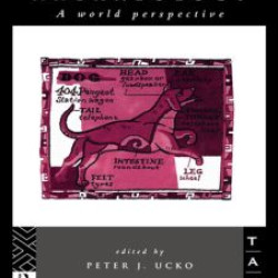 Theory in Archaeology