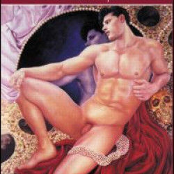 The Sexual Perspective The Sexual Perspective