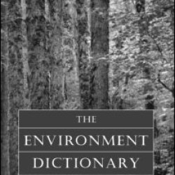 The Environment Dictionary