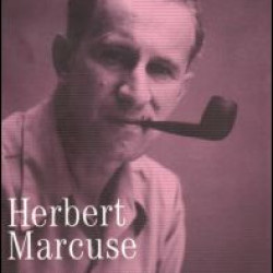 Towards a Critical Theory of Society