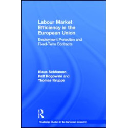 Labour Market Efficiency in the European Union