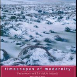 Timescapes of Modernity