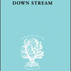 Down Stream            Ils 216