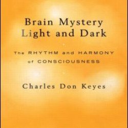Brain Mystery Light and Dark Brain Mystery Light and Dark
