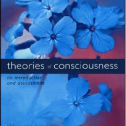 Theories of Consciousness Theories of Consciousness