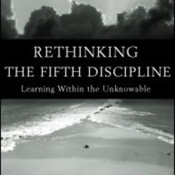Rethinking the Fifth Discipline