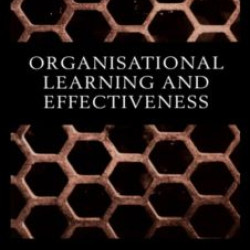 Organisational Learning and Effectiveness Organisational Learning and Effectiveness