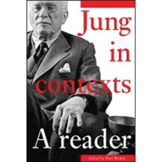 Jung in Contexts