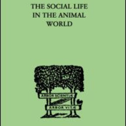 The Social Life In The Animal World