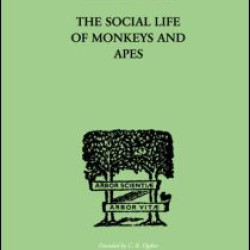 The Social Life Of Monkeys And Apes