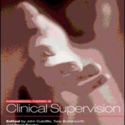 Fundamental Themes in Clinical Supervision Fundamental Themes in Clinical Supervision