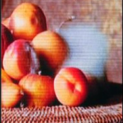 Learning to Look at Modern Art Learning to Look at Modern Art