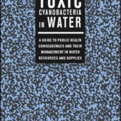 Art In Its Time Art In Its Time