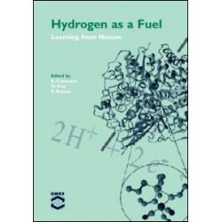 Hydrogen as a Fuel