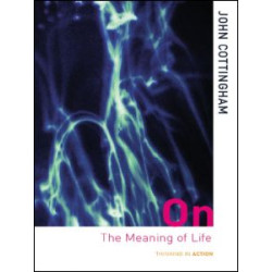 On the Meaning of Life