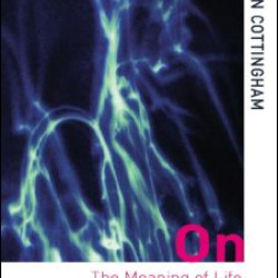 On the Meaning of Life