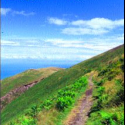 Countryside Recreation Site Management