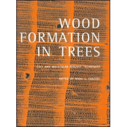 Wood Formation in Trees
