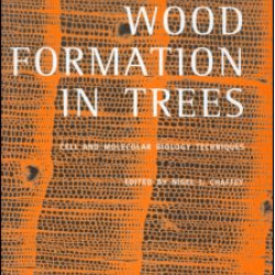 Wood Formation in Trees Wood Formation in Trees