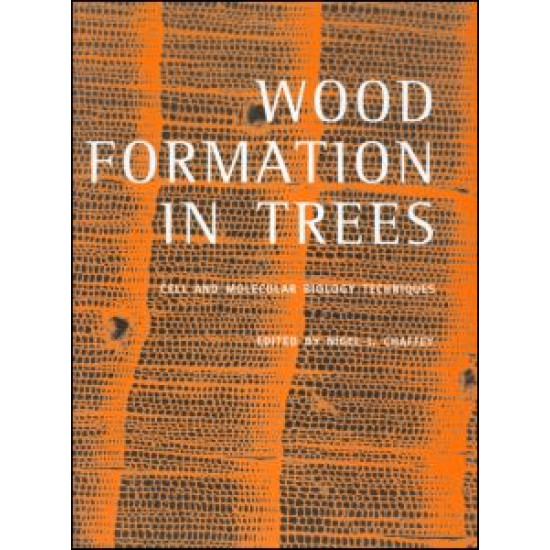 Wood Formation in Trees