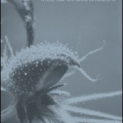 Drink, Drugs and Dependence Drink, Drugs and Dependence