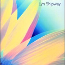 Domestic Violence Domestic Violence