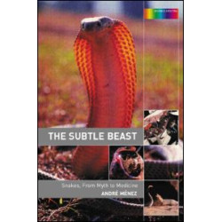 The Subtle Beast The Subtle Beast