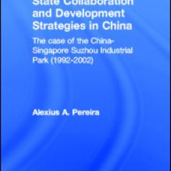 State Collaboration and Development Strategies in China
