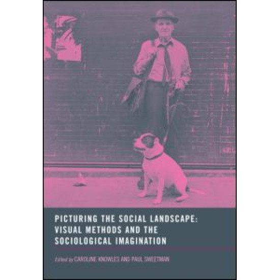 Picturing the Social Landscape