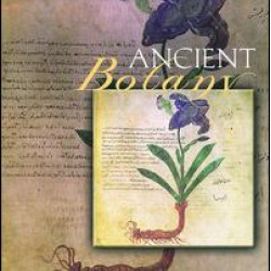 Ancient Botany Ancient Botany