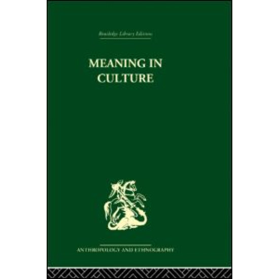 Meaning in Culture